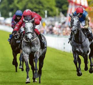 Horseracing set to be spared gambling levy