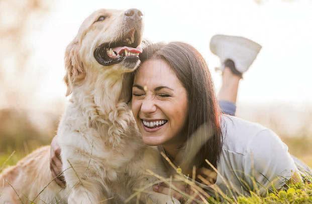 Dogs are like owners... it's in the genes