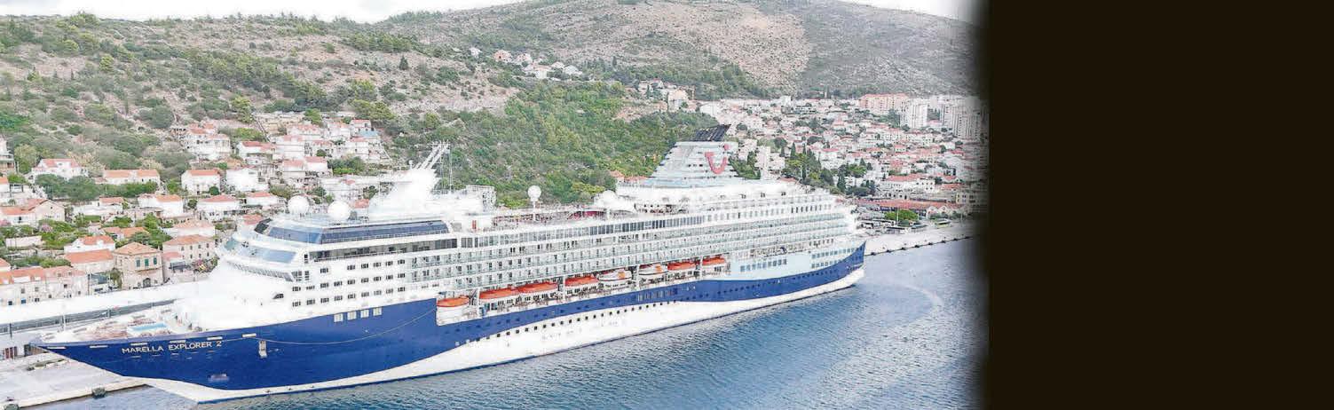 British passenger, 76, missing after fall from cruise liner