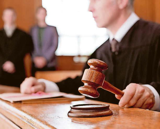 Hammy Lammy's lack of judgment