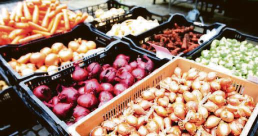Vegetables can slow prostate cancer growth