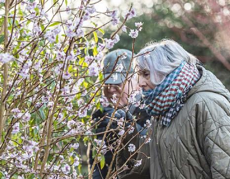 WINTER WALKS TO STROLL INTO 2026