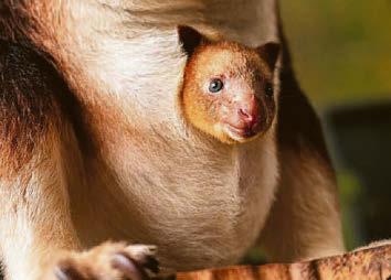 Hello little one, it's so nice to SO see roo...