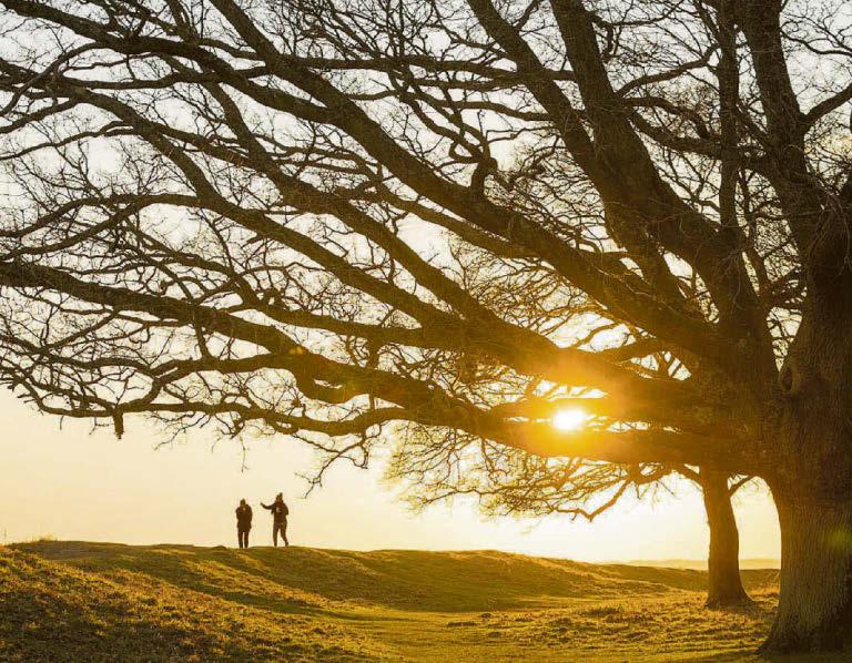 Find enlightenment in nature during the dark days of winter