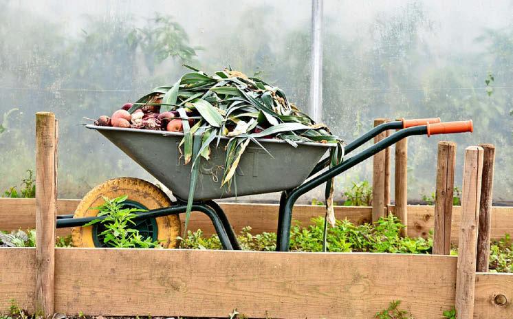 A heap of love for happy soil