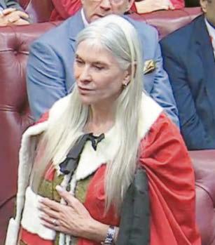 Baroness Davvies makes a splash in the Lords
