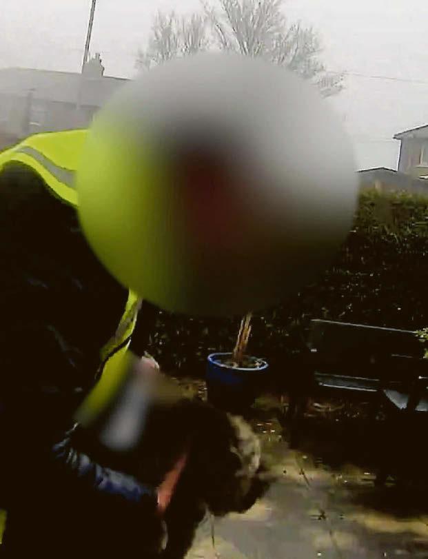 Delivery driver nicked my cat!