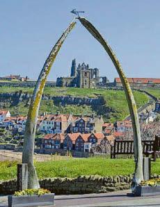 Row over whale bones arch