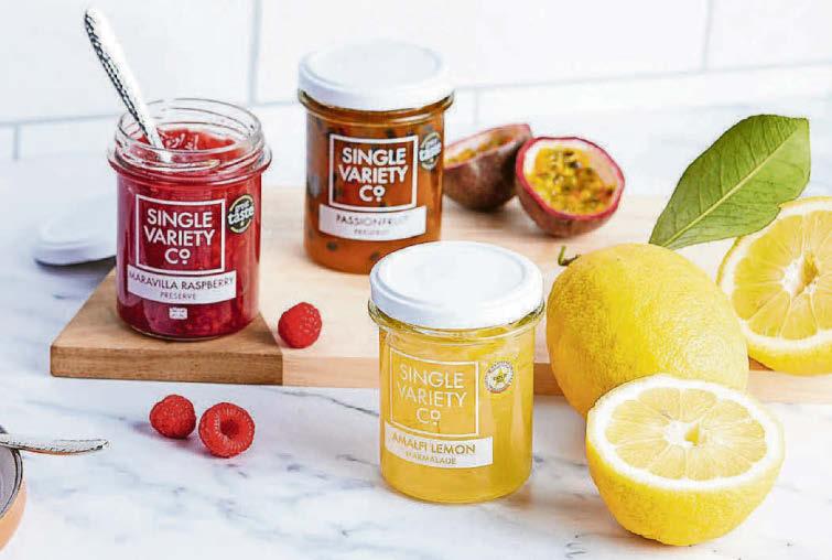 Pump up the jam with thriving SVC