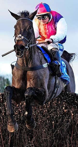Curtis is at ease with Couleurs race choice