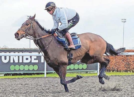 RACING HILL RUN IN DOUBT