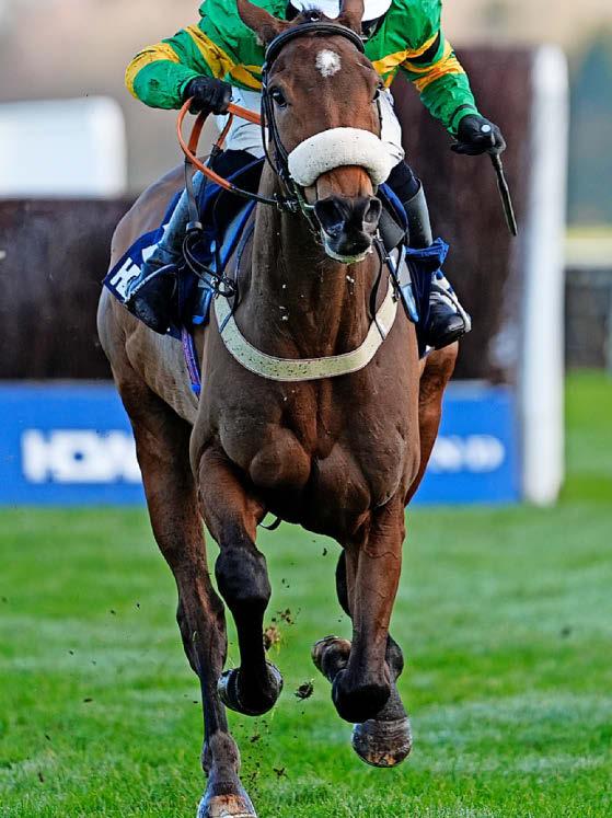Iroko team plan route to Aintree