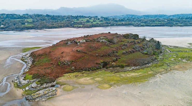 Making fantasy island a reality...