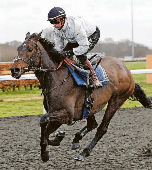 Oisin happy with progress of Hill