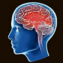 Blood test will predict the onset of Alzheimer's