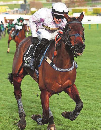 Ace can be king again, says Gosden