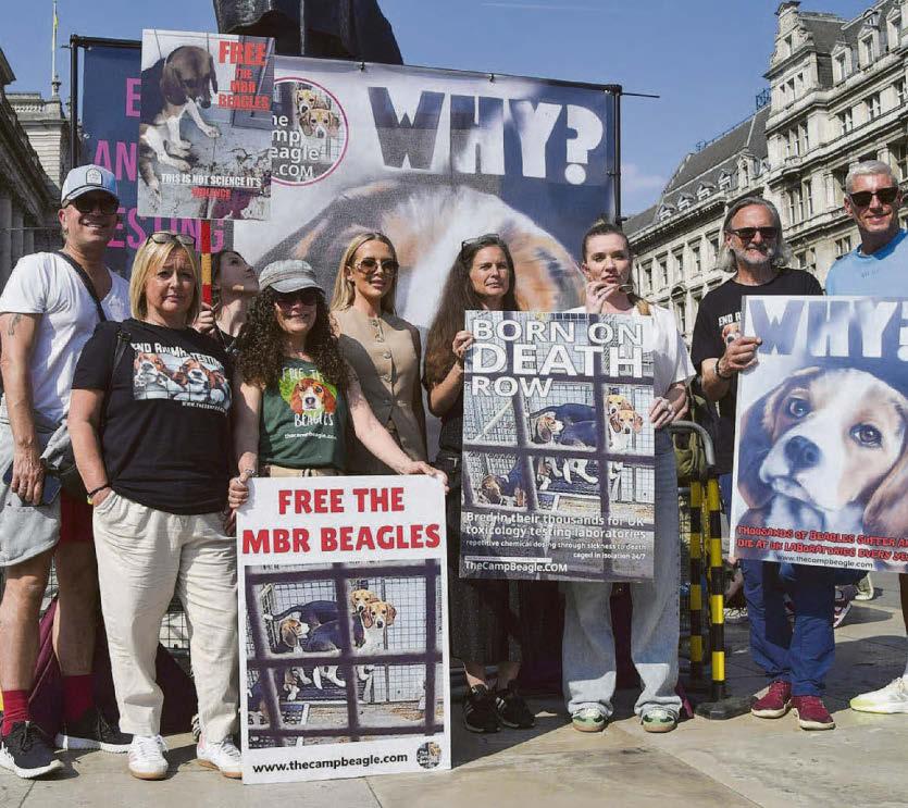 Stars back MPs' calls to close animal-testing lab