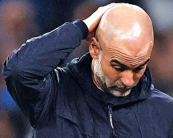PEP LOST IN FOREST