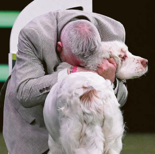 Top dog's a social clumber