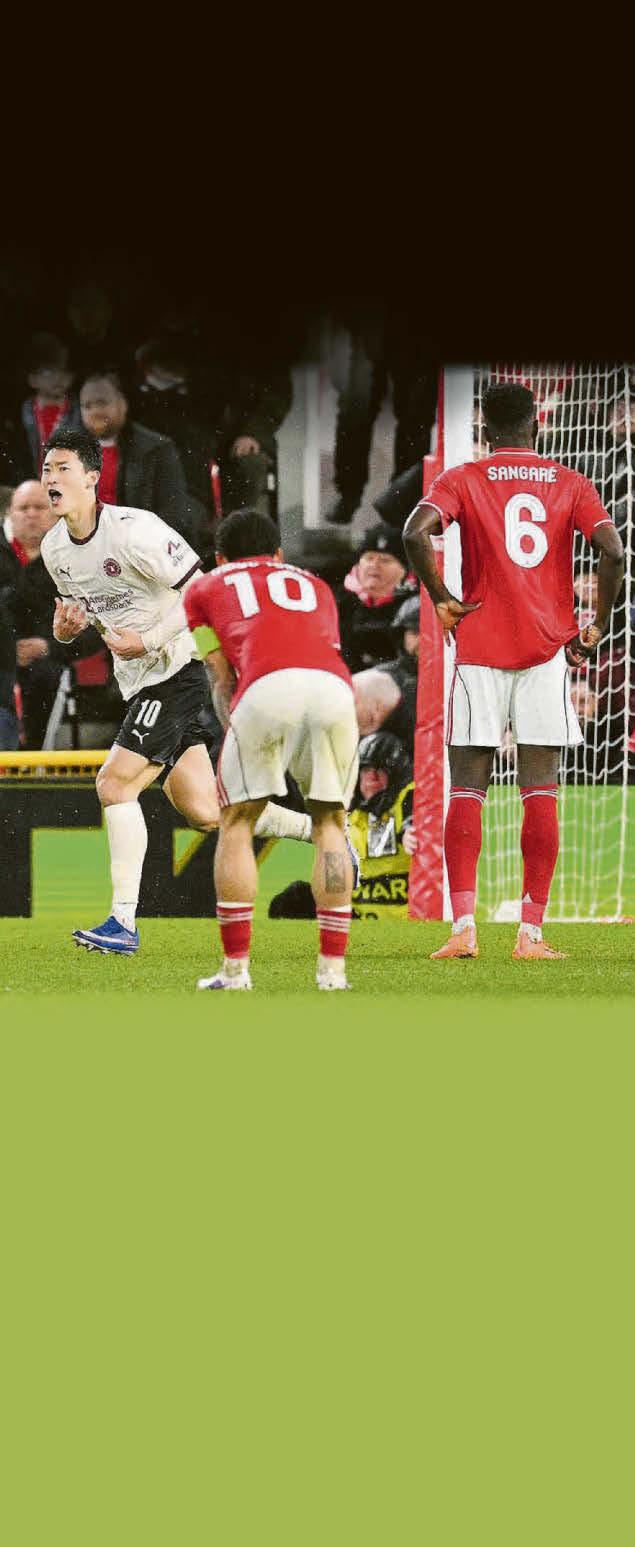 PEREIRA'S DANE PAIN