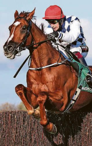 Racing BRIDGE NATIONAL BID