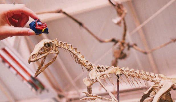 Dino evolution takes flight
