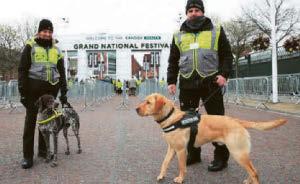 Sniffer dogs will ensure good for all