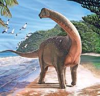 Fossil riddle baffles boffs