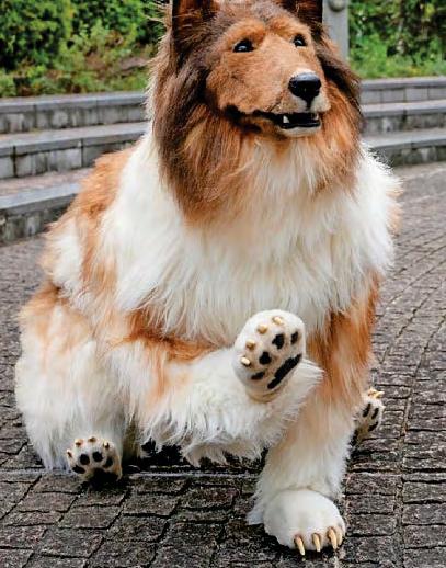 LIVING RUFF