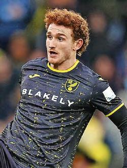 SARGENT BACK ON THE CASE FOR CANARIES