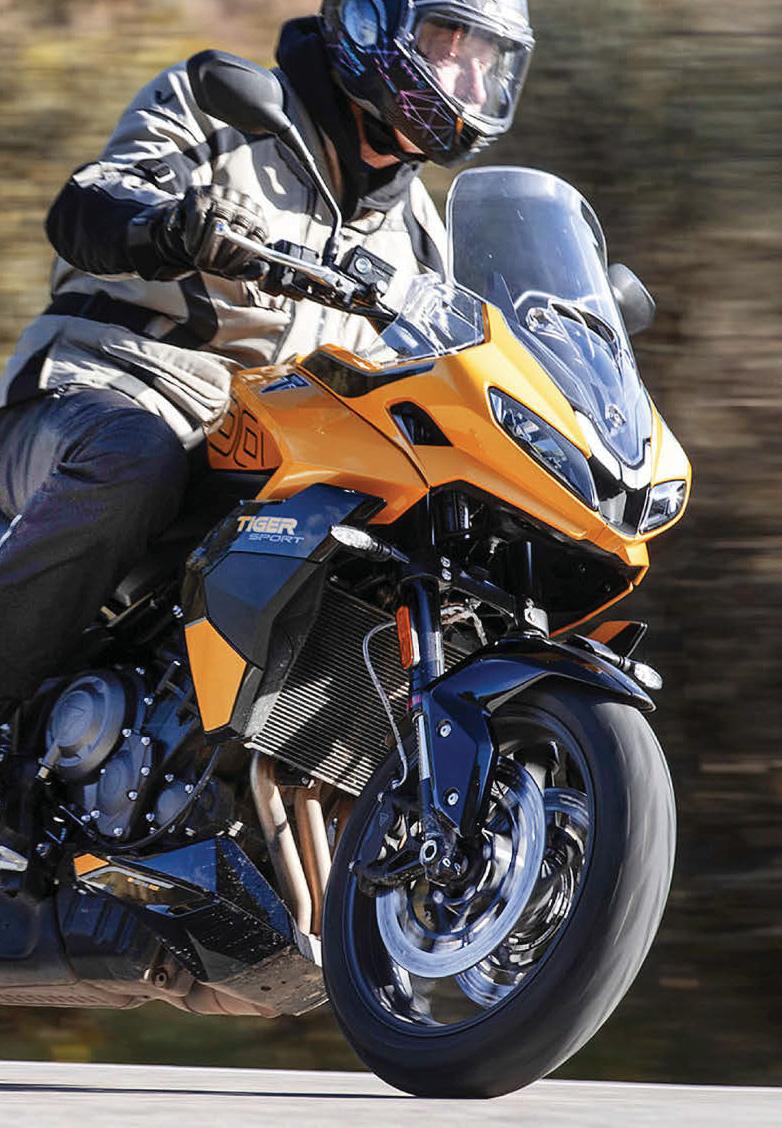 TRIUMPH TIGER ROARS