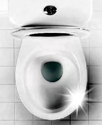 A SHOCK TO THEIR CISTERN!