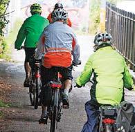 42m Brits going green DSIST