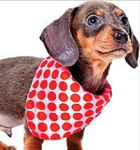 Charity neckers pawfect