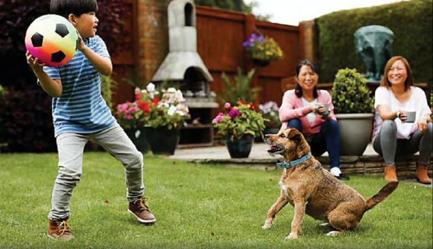KNOW RISKS OF PLAYING FETCH