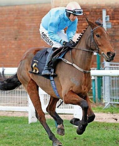 Incredible gets all-clear for the Scottish National