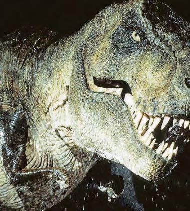 T-REX BANDITS