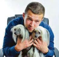 THE TUG OF LOVE DOGGIES