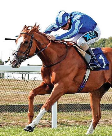 Best bets for today's racing from our Starform expert Steve Curry