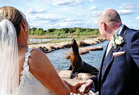 Nice day for a wild wedding