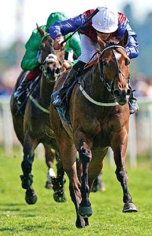 StarForm NUMBER ONE FOR RACING
