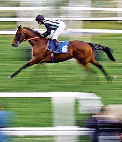 Best bets for today's racing from our Starform expert Steve Curry