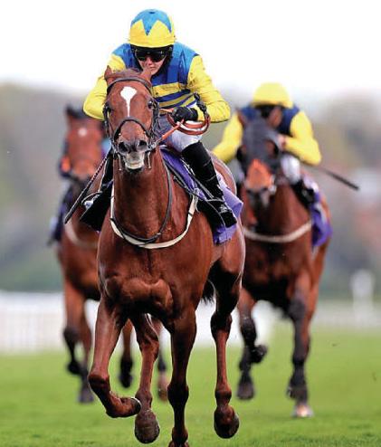 StarForm NUMBER ONE FOR RACING