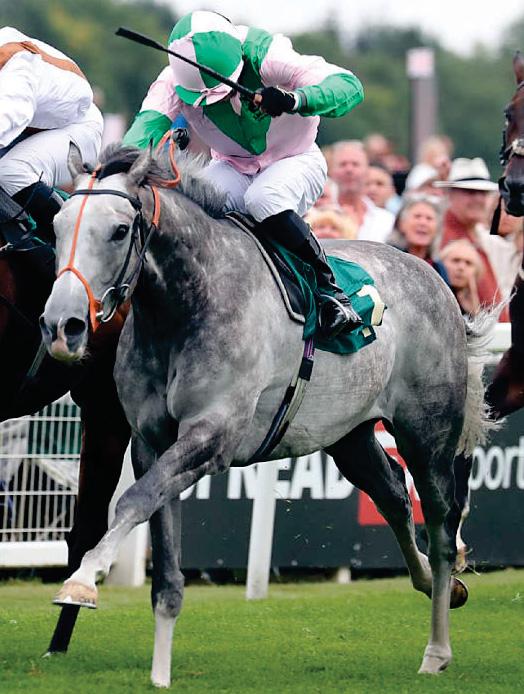 StarForm NUMBER ONE FOR RACING