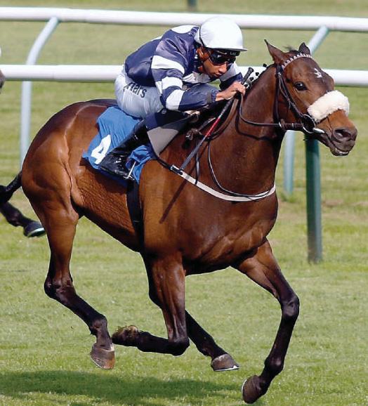 Best bets for today's racing from our Starform expert Steve Curry