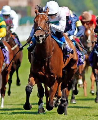 Best bets for today's racing from our Starform expert Steve Curry