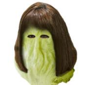 SHREDDED LETTUCE 2