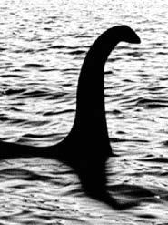 BUS FOR NESSIE..