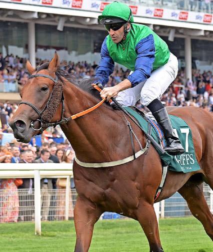 StarForm NUMBER ONE FOR RACING