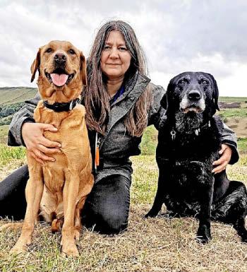 It's a mutt-have office accessory